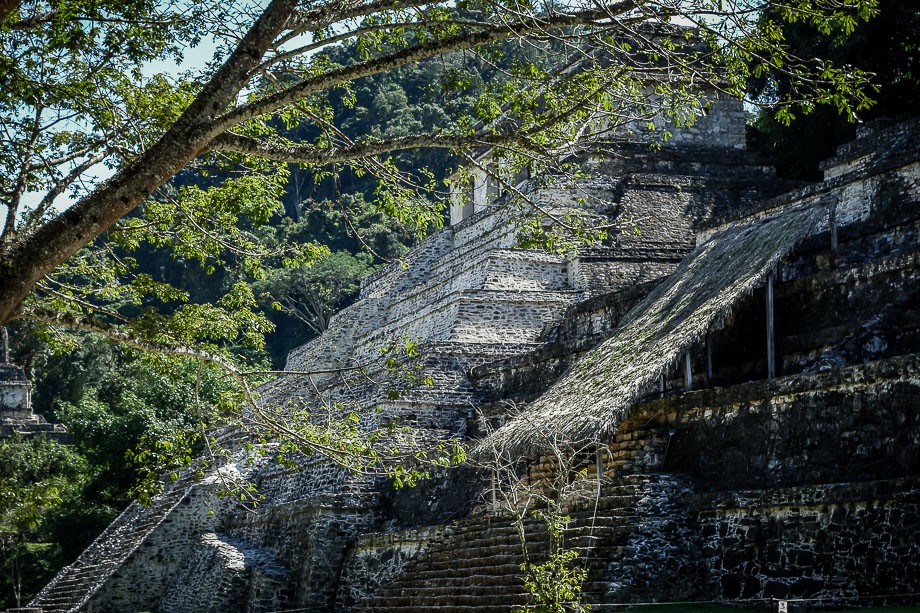 mexico-palenque art mayan ruins