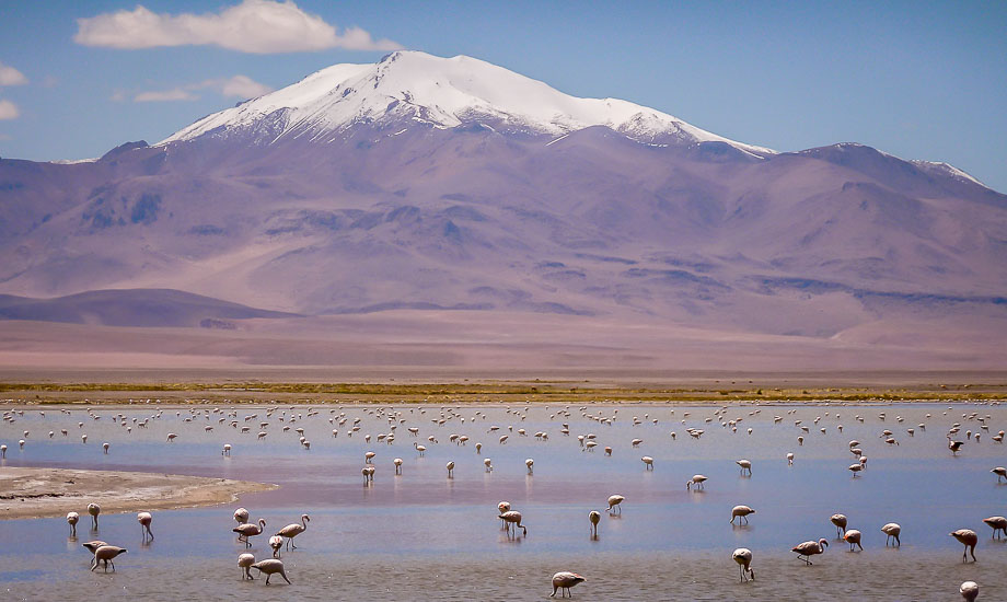 Atacama Desert